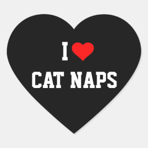 IK HOOP VAN KAT NAPS HART STICKER