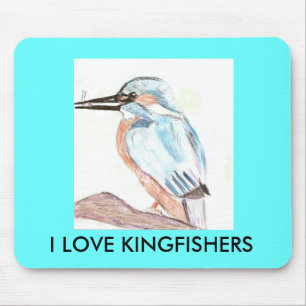 IK HOOP VAN KINGFISHERS MUISMAT
