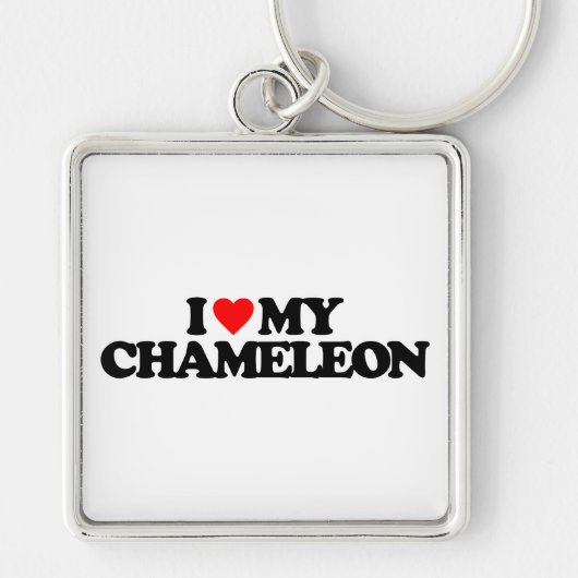 IK HOOP VAN MIJN CHAMELEON SLEUTELHANGER (Voorkant)