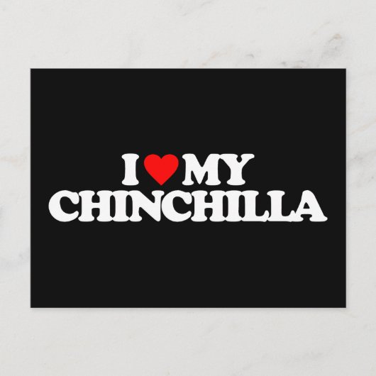 IK HOOP VAN MIJN CHINCHILLA BRIEFKAART (Voorkant)