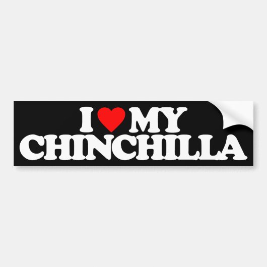 IK HOOP VAN MIJN CHINCHILLA BUMPERSTICKER (Voorkant)