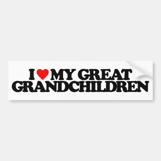 IK HOOP VAN MIJN GROTE GRANDCHILDREN BUMPERSTICKER (Voorkant)