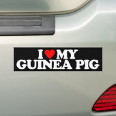 IK HOOP VAN MIJN GUINEE PIG BUMPERSTICKER (Op auto)