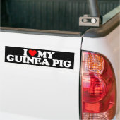 IK HOOP VAN MIJN GUINEE PIG BUMPERSTICKER (Op Truck)