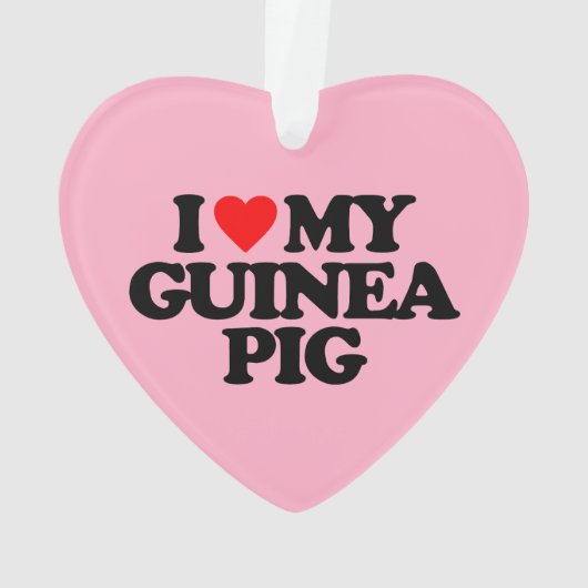 IK HOOP VAN MIJN GUINEE PIG ORNAMENT (achterkant)