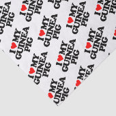 IK HOOP VAN MIJN GUINEE PIG TISSUEPAPIER (Detail)