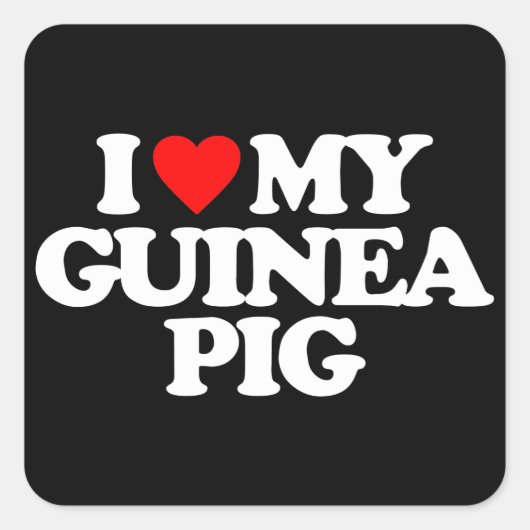 IK HOOP VAN MIJN GUINEE PIG VIERKANTE STICKER (Voorkant)