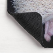 IK HOOP VAN MIJN HEDGEHOG-MUISMAT MUISMAT (Hoek)