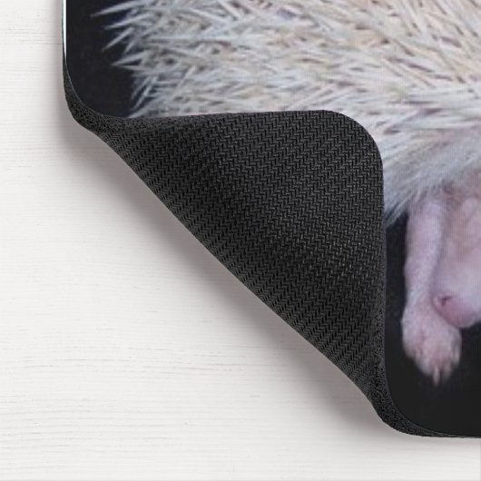 IK HOOP VAN MIJN HEDGEHOG-MUISMAT MUISMAT (Hoek)