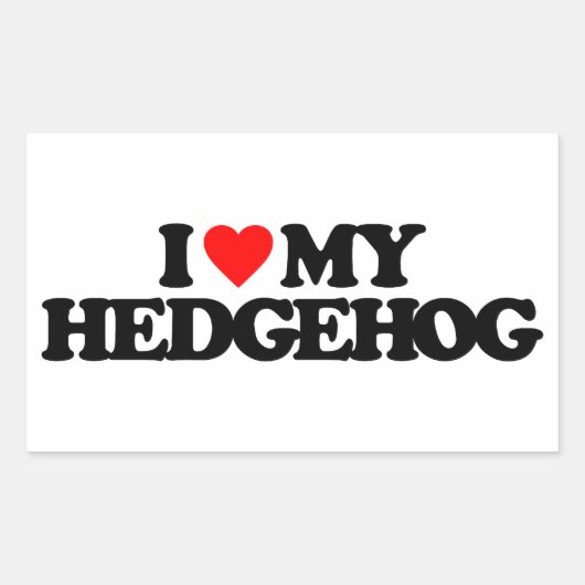 IK HOOP VAN MIJN HEDGEHOG RECHTHOEKIGE STICKER (Voorkant)