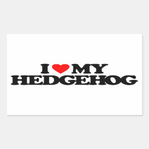 IK HOOP VAN MIJN HEDGEHOG RECHTHOEKIGE STICKER