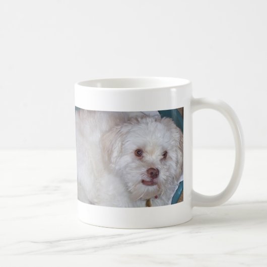 IK HOOP VAN MIJN LHASA APSO KOFFIEMOK (Rechts)
