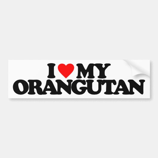 IK HOOP VAN MIJN ORANGUTAN BUMPERSTICKER (Voorkant)