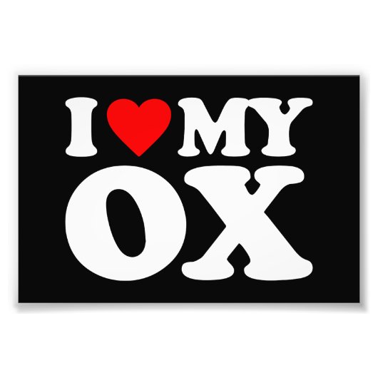 IK HOOP VAN MIJN OX FOTO AFDRUK (Voorkant)