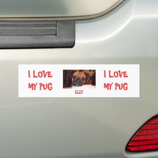 IK HOOP VAN MIJN POG, IZZY, IK HOOP VAN MIJN POG BUMPERSTICKER (Op auto)