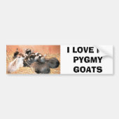 IK HOOP VAN MIJN PYGMY GOATS BUMPERSTICKER (Voorkant)