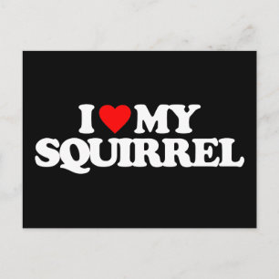 IK HOOP VAN MIJN SQUIRREL BRIEFKAART