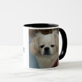 IK HOOP VAN MIJN VREEMDE KLOOF MOK (Voorkant rechts)