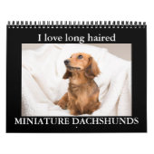 IK HOOP VAN MINIATUURDACHSHUNDS MET LANGE OORLOG KALENDER (Hoes)
