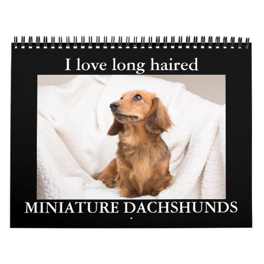 IK HOOP VAN MINIATUURDACHSHUNDS MET LANGE OORLOG KALENDER (Hoes)