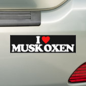 IK HOOP VAN MUSK OXEN BUMPERSTICKER (Op auto)