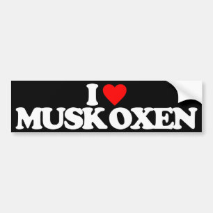 IK HOOP VAN MUSK OXEN BUMPERSTICKER