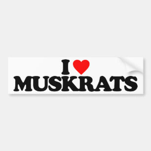 IK HOOP VAN MUSKRATS BUMPERSTICKER