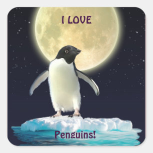 IK HOOP VAN PENGUINES Cute Penguin Stickers