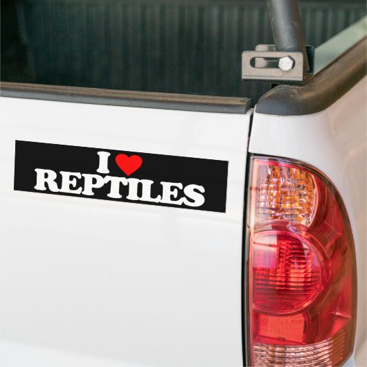 IK HOOP VAN REPTILES BUMPERSTICKER (Op Truck)