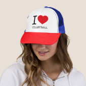 IK HOOP VAN VOLLEYBALL TRUCKER PET (In situ)