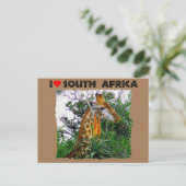 Ik hoor alleen al Zuid-Afrika giraf Briefkaart (Staand voorkant)
