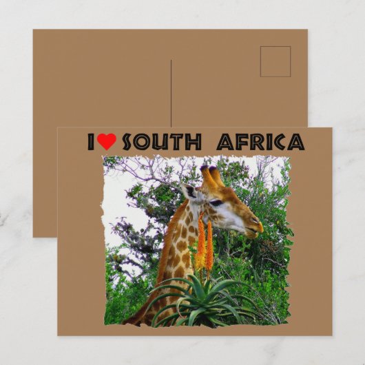 Ik hoor alleen al Zuid-Afrika giraf Briefkaart (Voorkant / Achterkant)