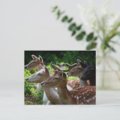 Ik hoor Briefkaart (Staand voorkant)