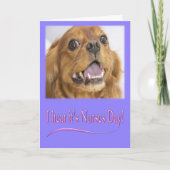 Ik hoor dat het Verpleegstersdag is Cavalier King Kaart (Voorkant)