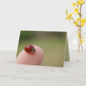 Ik hoor dat je een insect hebt gevangen kaart (Gele Bloem)
