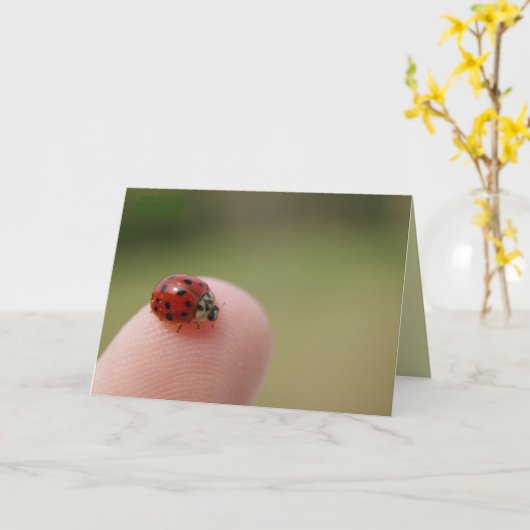 Ik hoor dat je een insect hebt gevangen kaart (Gele Bloem)