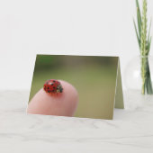 Ik hoor dat je een insect hebt gevangen kaart (Voorkant)