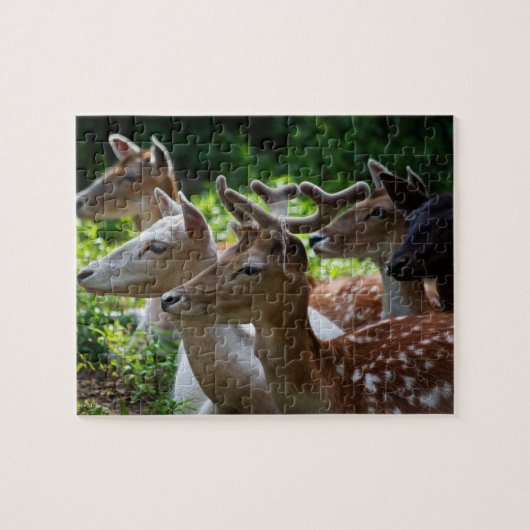 Ik hoor een puzzel (Horizontaal)