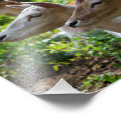 Ik hoor foto afdruk (Hoek)