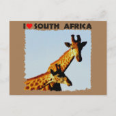 Ik hoor Giraffes in Zuid-Afrika Blauwe Sky Briefkaart (Voorkant)