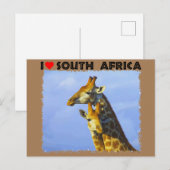 Ik hoor Giraffes in Zuid-Afrika Blauwe Sky Briefkaart (Voorkant / Achterkant)