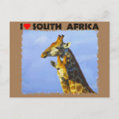 Ik hoor Giraffes in Zuid-Afrika Blauwe Sky Briefkaart (Voorkant)