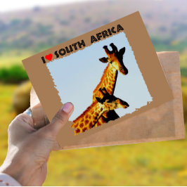 Ik hoor Giraffes in Zuid-Afrika Blauwe Sky Briefkaart