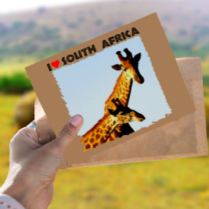 Ik hoor Giraffes in Zuid-Afrika Blauwe Sky Briefkaart