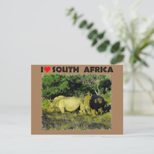 Ik hoor het Zuid-Afrika Rijnparen Briefkaart (Staand voorkant)