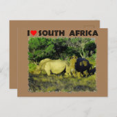 Ik hoor het Zuid-Afrika Rijnparen Briefkaart (Voorkant / Achterkant)