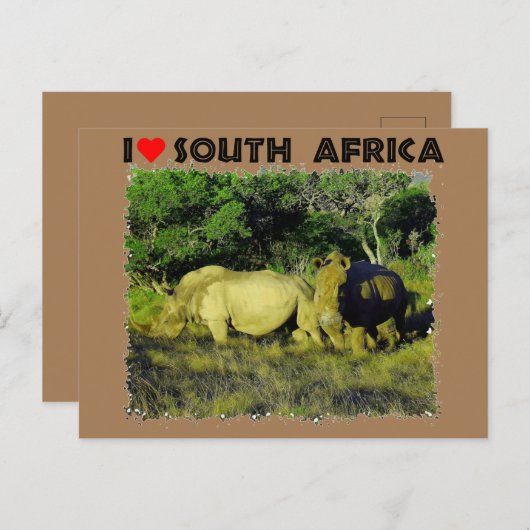 Ik hoor het Zuid-Afrika Rijnparen Briefkaart (Voorkant / Achterkant)