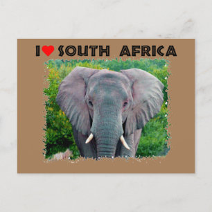 Ik hoor jonge olifant uit Zuid-Afrika Briefkaart
