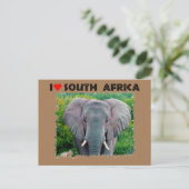 Ik hoor jonge olifant uit Zuid-Afrika Briefkaart (Staand voorkant)