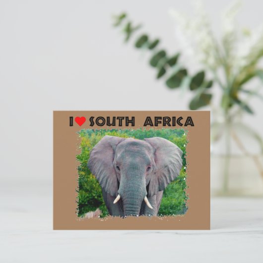 Ik hoor jonge olifant uit Zuid-Afrika Briefkaart (Staand voorkant)